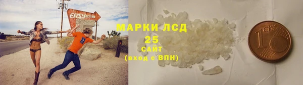 стафф Арсеньев