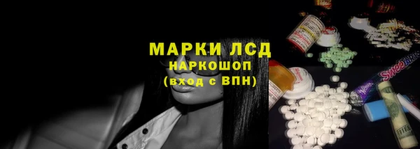 стафф Арсеньев