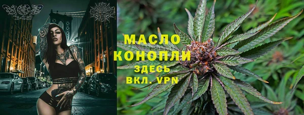 стафф Арсеньев