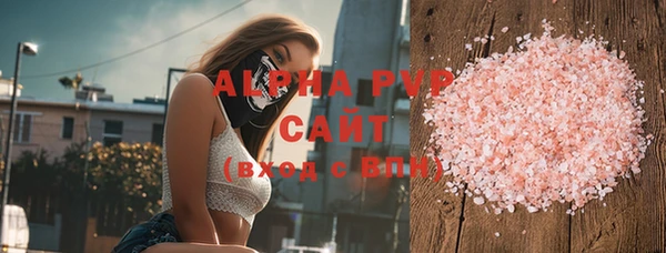 стафф Арсеньев