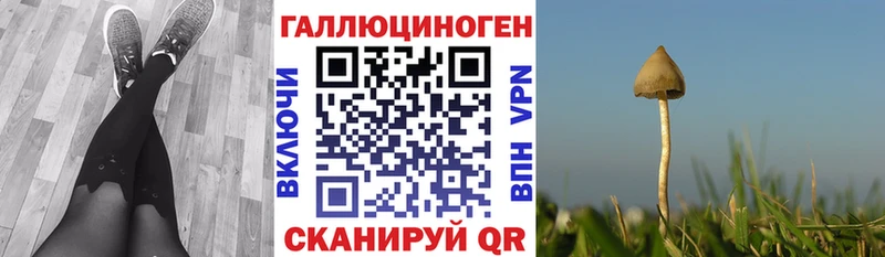 Галлюциногенные грибы мухоморы  Спасск-Дальний 